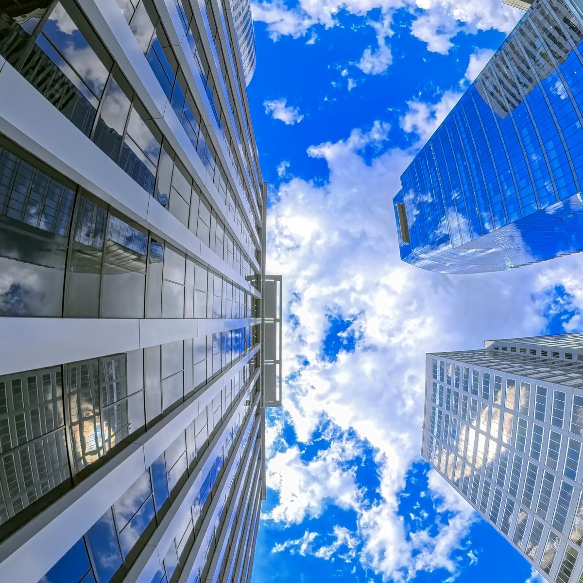 Skyline Business Website — Websites